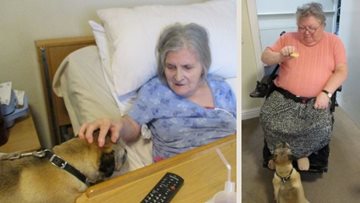 Sheffield care home Residents enjoy a surprise dog visit
